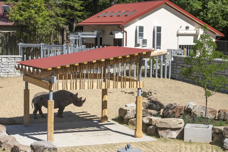 Cleveland Metroparks Zoo Rhino Reserve